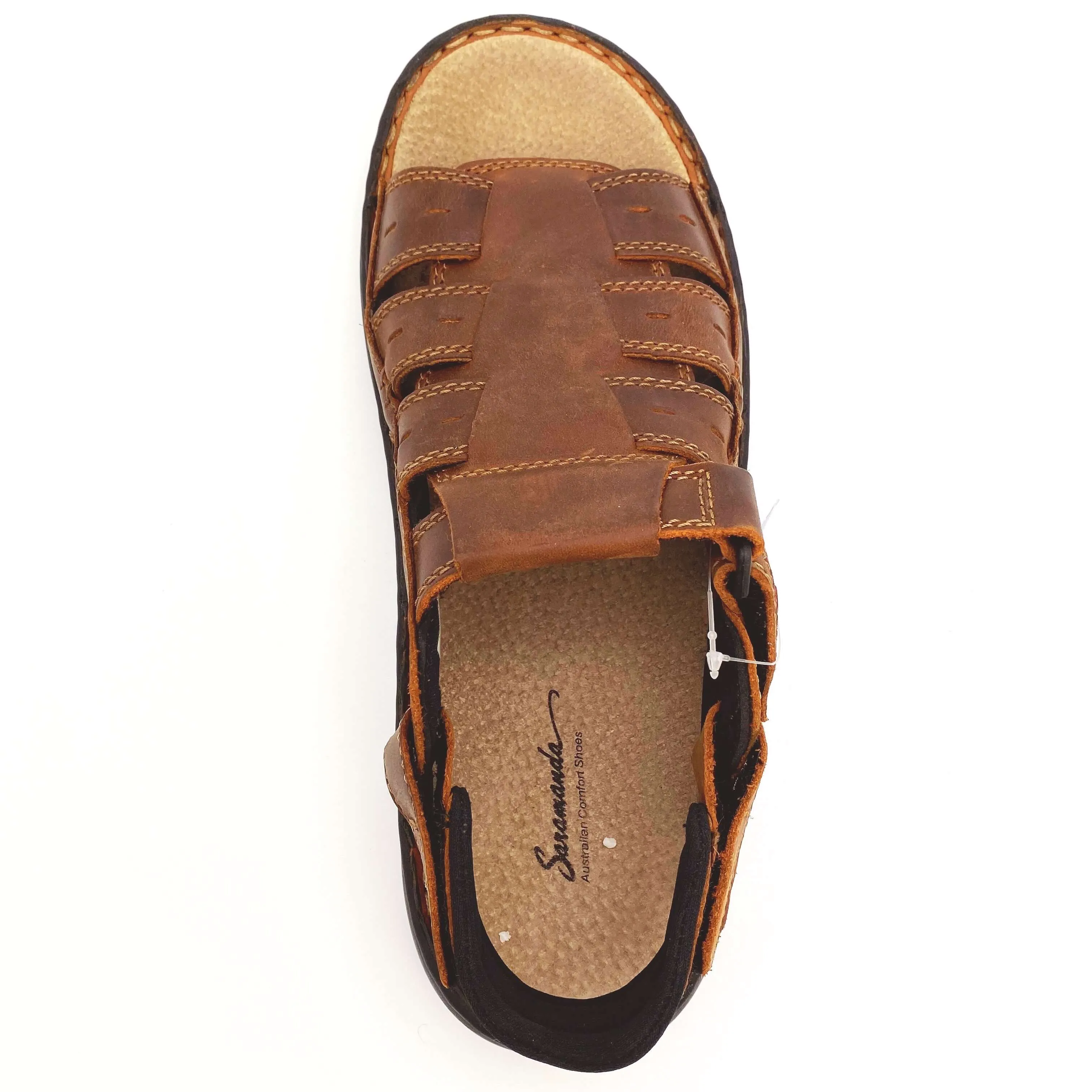 Saramanda 'Camper' - Chestnut