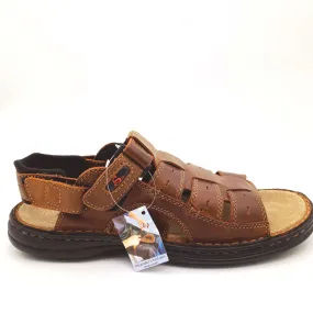 Saramanda 'Camper' - Chestnut